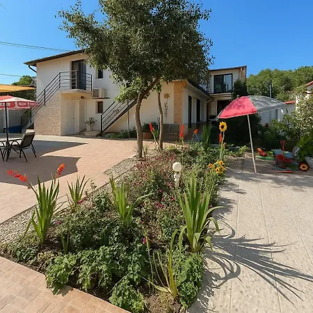 Maxim אפורי נורד