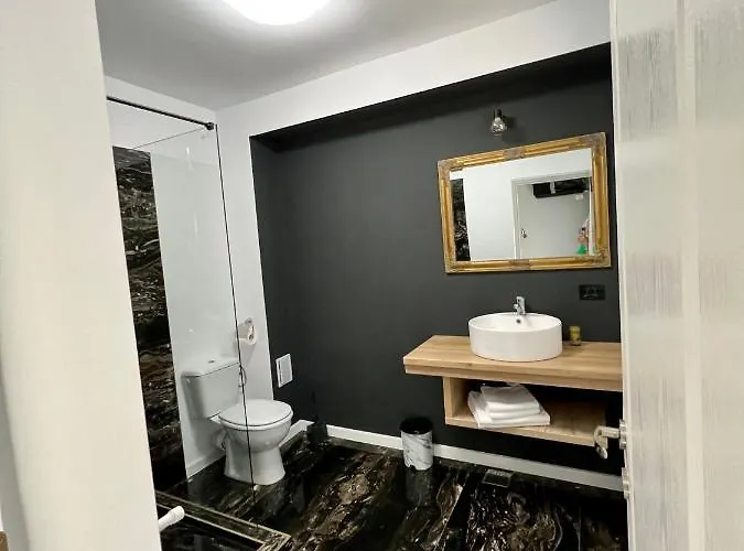 Casa Maxim Pensionat 3*