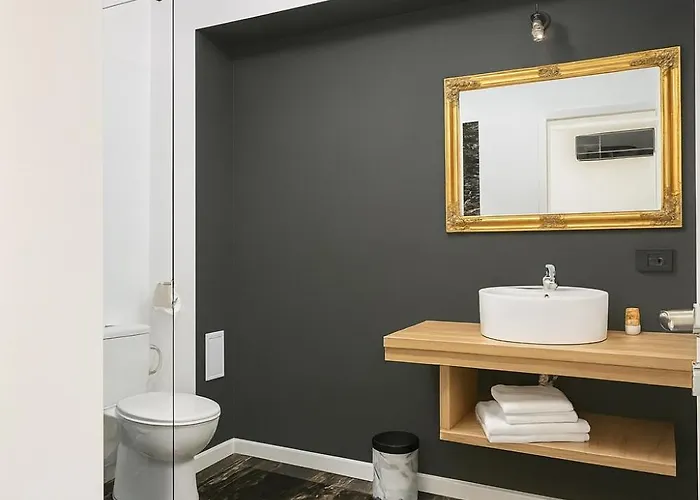 Casa Maxim Pensionat 3*